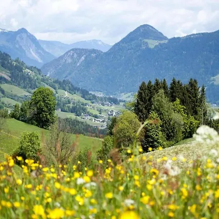 In Neustift Near Lift, Cleaning Included アパート *