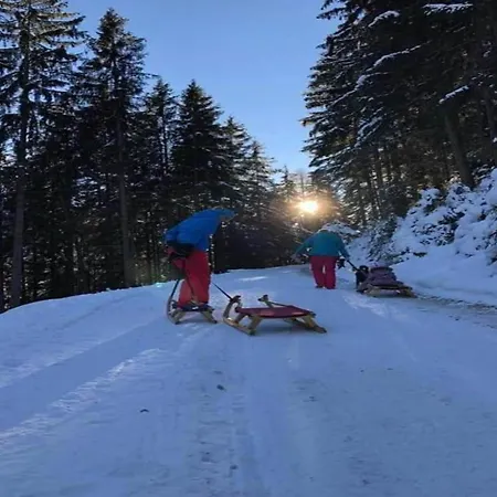 In Neustift Near Lift, Cleaning Included Neustift im Stubaital